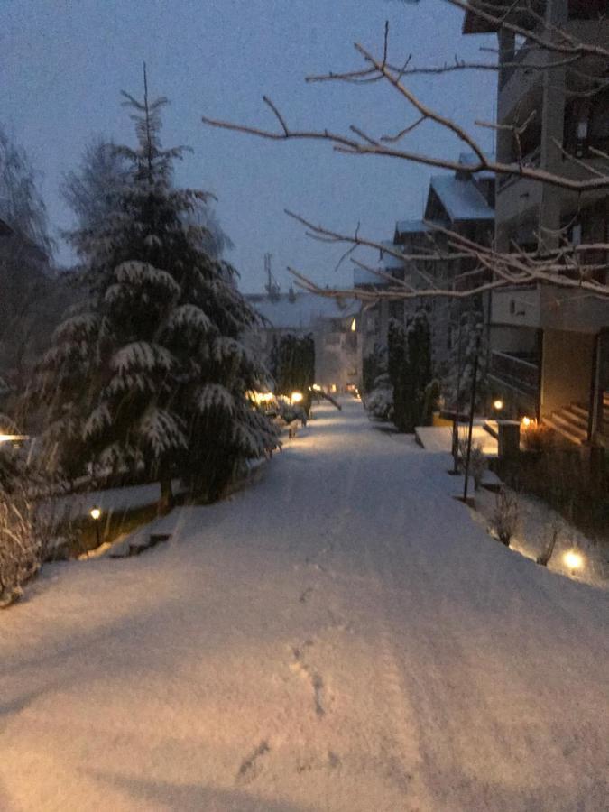 Private Spa Luxury Apartments Bansko Bagian luar foto