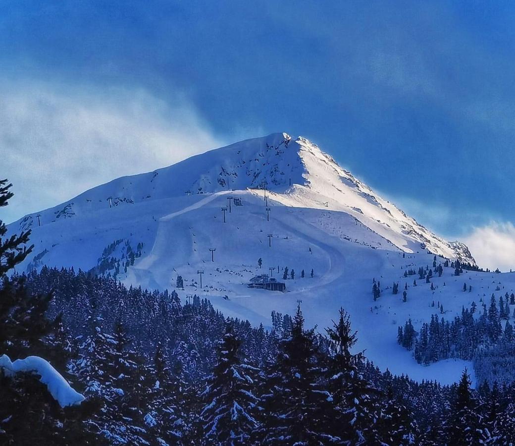 Private Spa Luxury Apartments Bansko Bagian luar foto